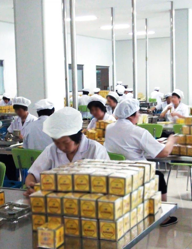 Gunpowder Tea manufacturers