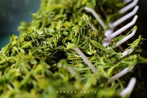 10 طرق جديدة لجولة الشاي في شاوشينغ