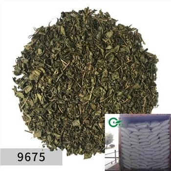الشاي الأخضر البارود 9675